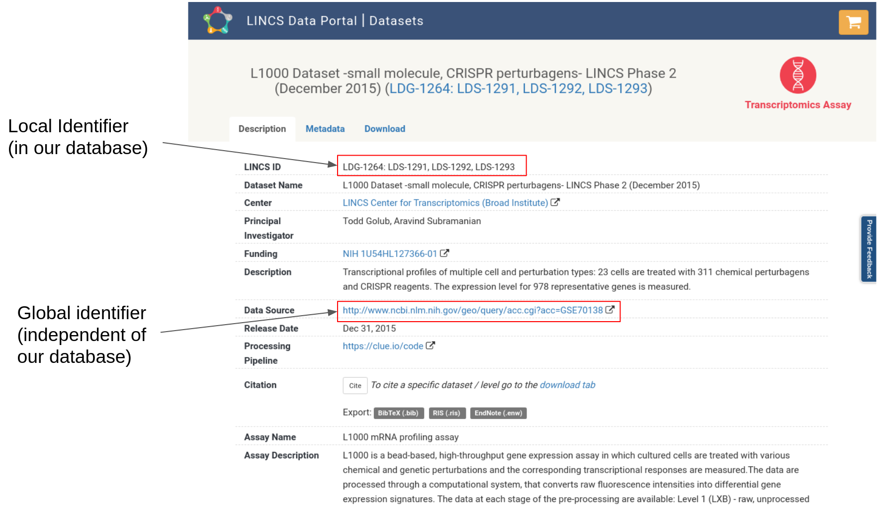 Identifying identifiers